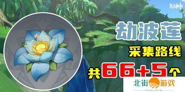 原神劫波莲采集位置分享 原神劫波莲采集分布图
