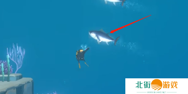 潜水员戴夫金枪鱼怎么抓 金枪鱼在哪里可以抓到[多图]图片2